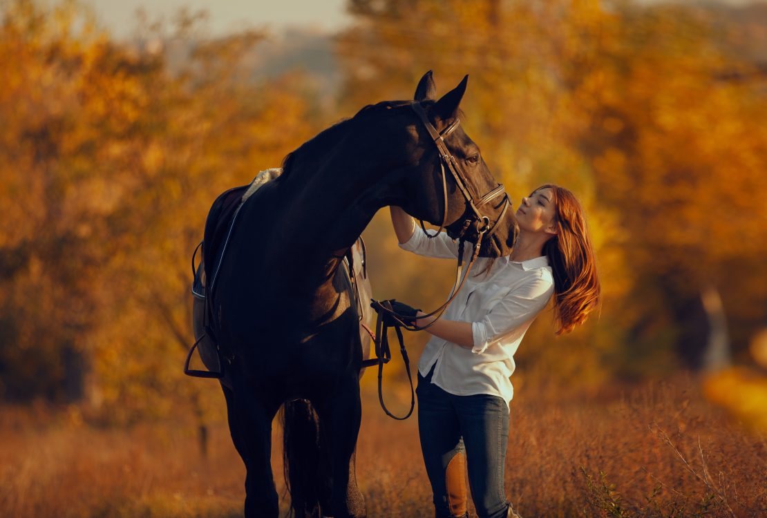 Discovering Fitness Through Horseback Riding