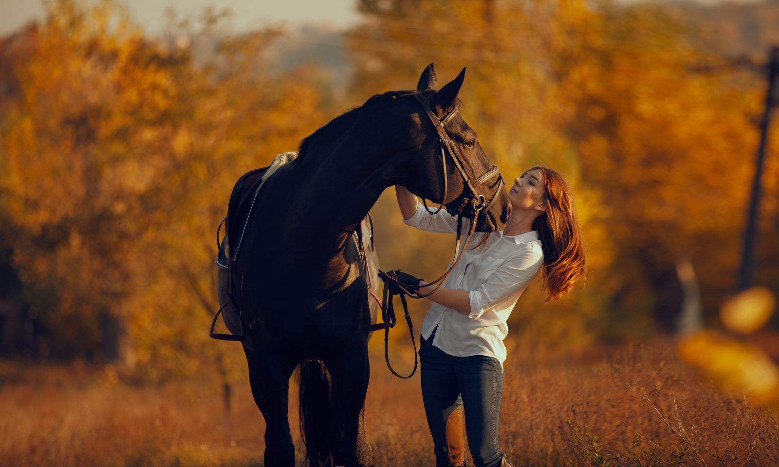 Discovering Fitness Through Horseback Riding
