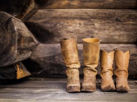 Choosing the Right Shoe for Your Activity