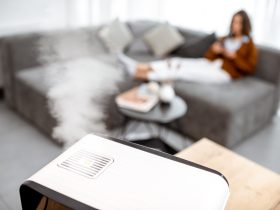 Air Humidifiers - How They Can Help You And What To Pay Attention To