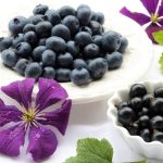 Harnessing the Nutritional Power of Purple Foods