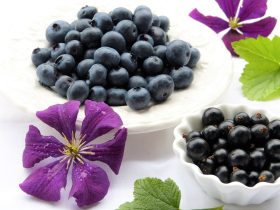 Harnessing the Nutritional Power of Purple Foods