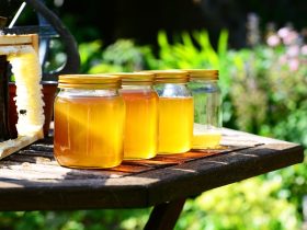 Explore the Benefits of Raw Honey for Energy and Health