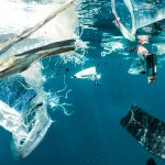 Bottled Water Safety: Reduce Tiny Plastics for Healthy Drinking