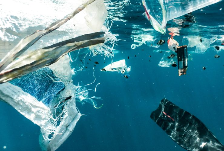 Bottled Water Safety: Reduce Tiny Plastics for Healthy Drinking