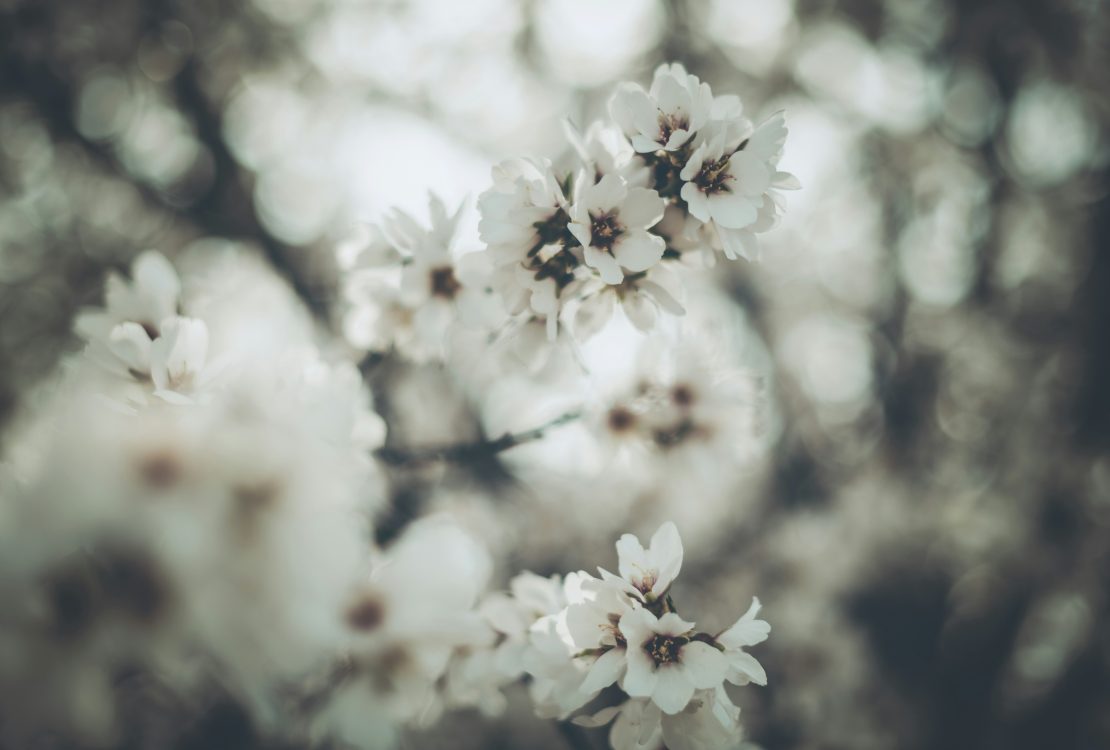Natural Hormone Balancing: Tips and Techniques for Optimal Health