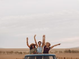 5 Tips for Managing Back Pain During Car Travel